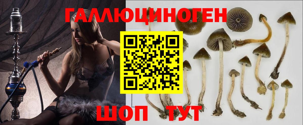 Калининград  Галлюциногенные грибы GOLDEN TEACHER  Вход с VPN 
